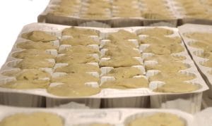 pâtons de gaufres de Liège surgelées